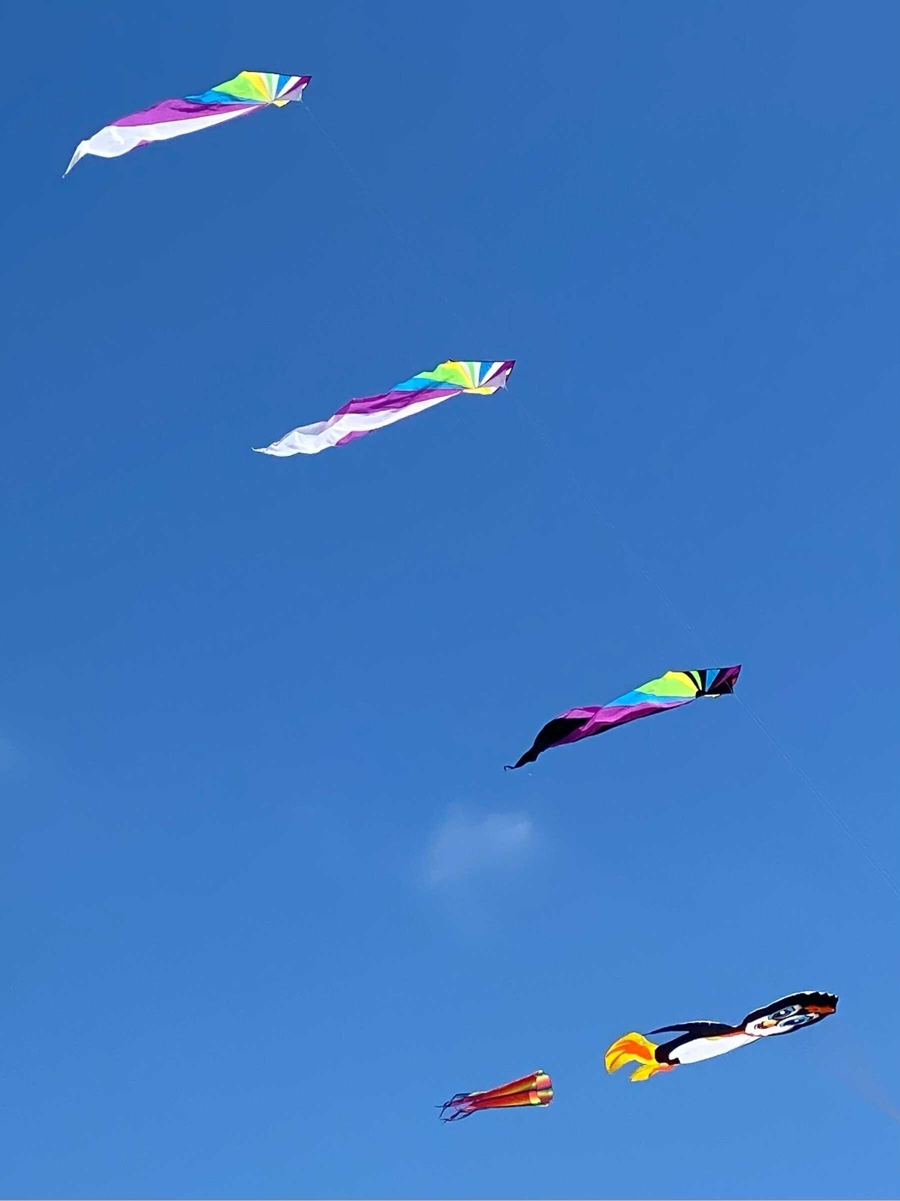 Four long brightly-coloured kites flying close-up, against a blue cloudless sky